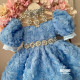 Rochie Albastră cu Trandafiri 3D și Trenă Detașabilă – Rochie Prințesă Elegantă | Blue Silver Stones
