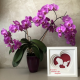 Lampa de veghe, tablou 3d personalizat, MOTHER&DAUGHTER