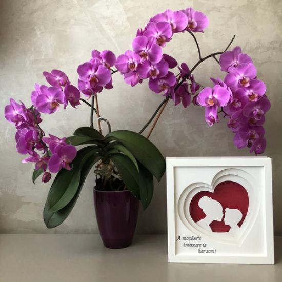 Lampa de veghe, tablou 3d personalizat, MOTHER&SON