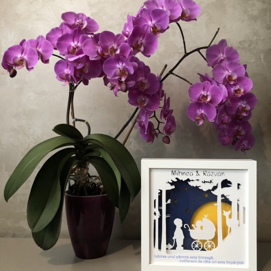 Lampa de veghe, tablou 3d personalizat, TWO BROTHERS
