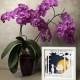 Lampa de veghe, tablou 3d personalizat, TWO BROTHERS