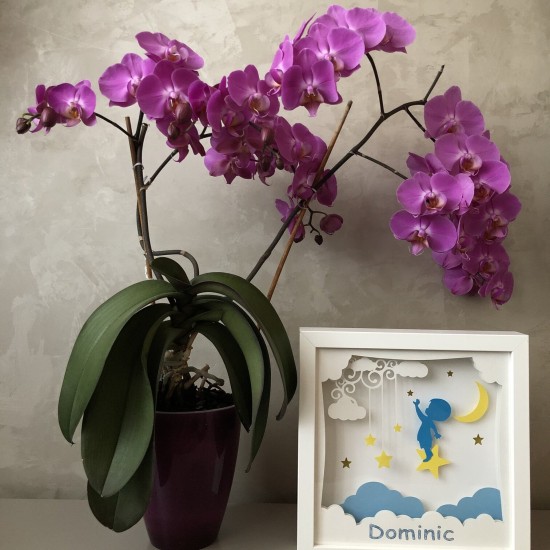 Lampa de veghe, tablou 3d personalizat, SPECIAL BOY