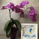 Lampa de veghe, tablou 3d personalizat, SPECIAL BOY