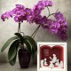 Lampa de veghe, tablou 3d personalizat, FOR TEACHER 2