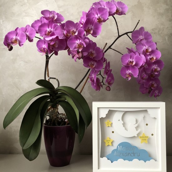 Lampa de veghe, tablou 3d personalizat, MOON BABY