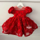 Rochie fete Red Flower Girl