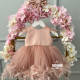 Rochie fete Dusty Pink Lace Dress
