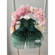 Rochie fete Green Sparkle Dress