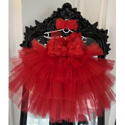 Rochie printesa Ariah