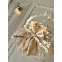 Rochie fete Beige Lace Roses